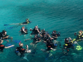 Grupo de snorkel en el mar